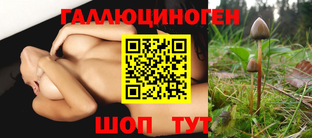 Галлюциногенные грибы ЛСД Зеленодольск